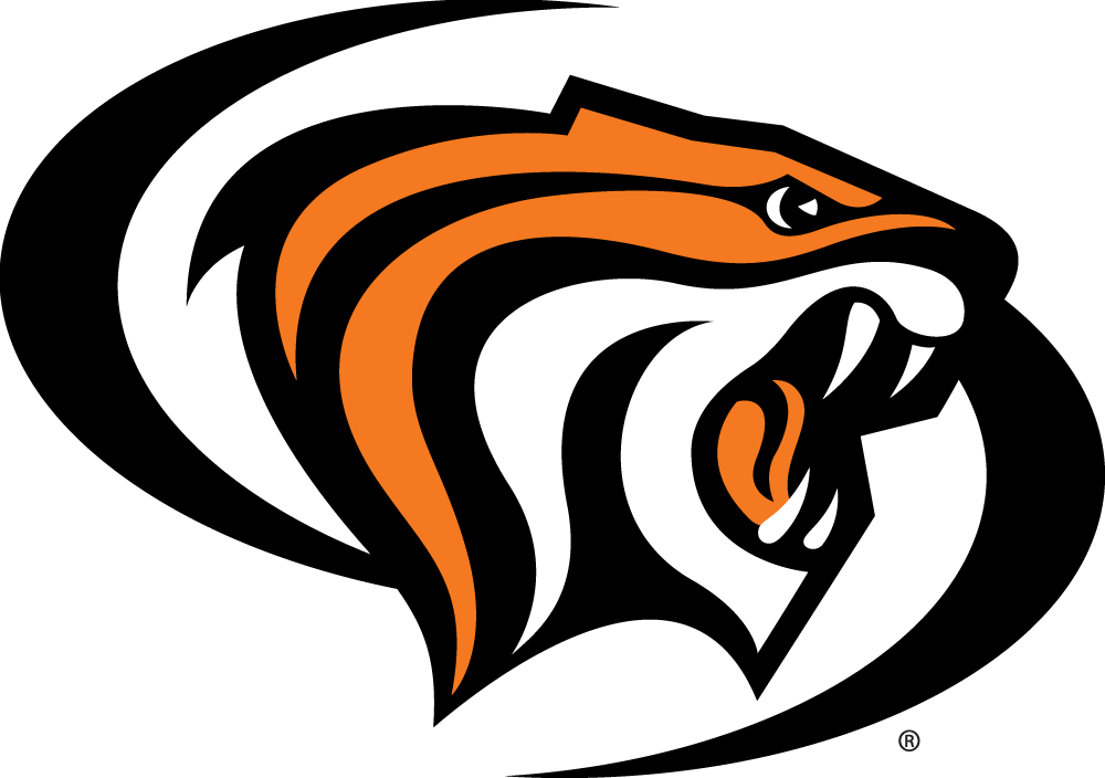 Pacific Tigers iron ons